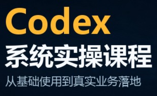 codex系统实操课程(更新10月)-子比同步系统测试站