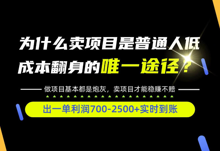 普通人如何靠互联网賺取自己的第一桶金！全类目实操型教学，看完你全都懂了！【揭秘】-子比同步系统测试站