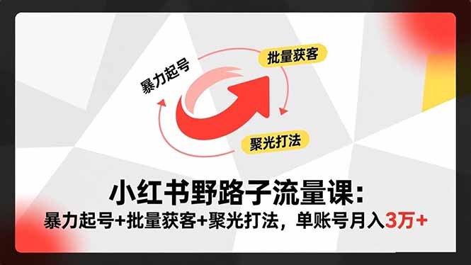 小红书野路子流量课：暴力起号+批量获客+聚光打法，单账号月入3万+-摇钱树